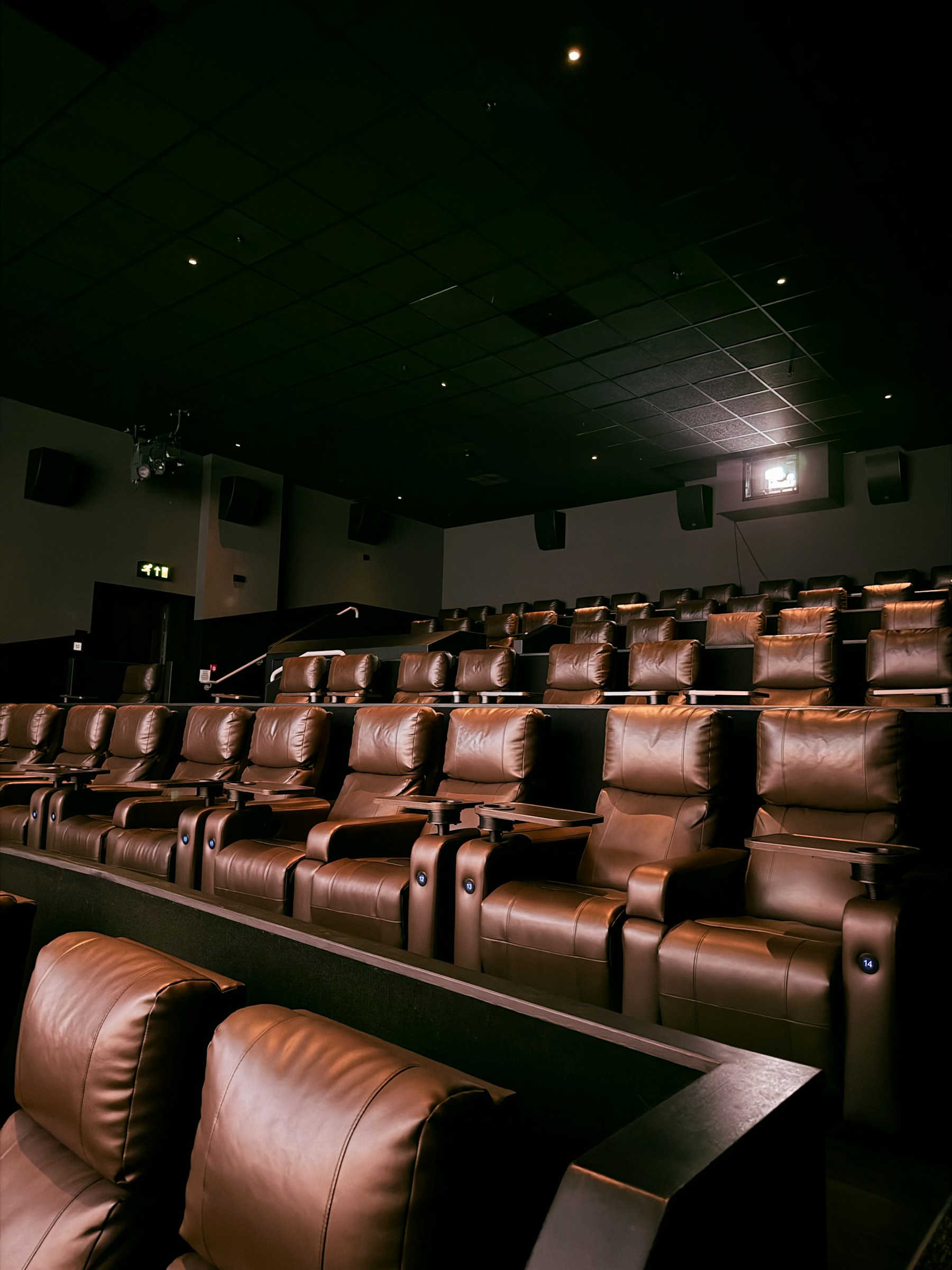 Empty movie theater with rows of brown leather seats